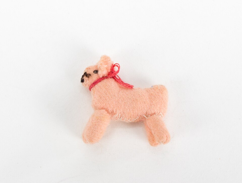 Dog Toy