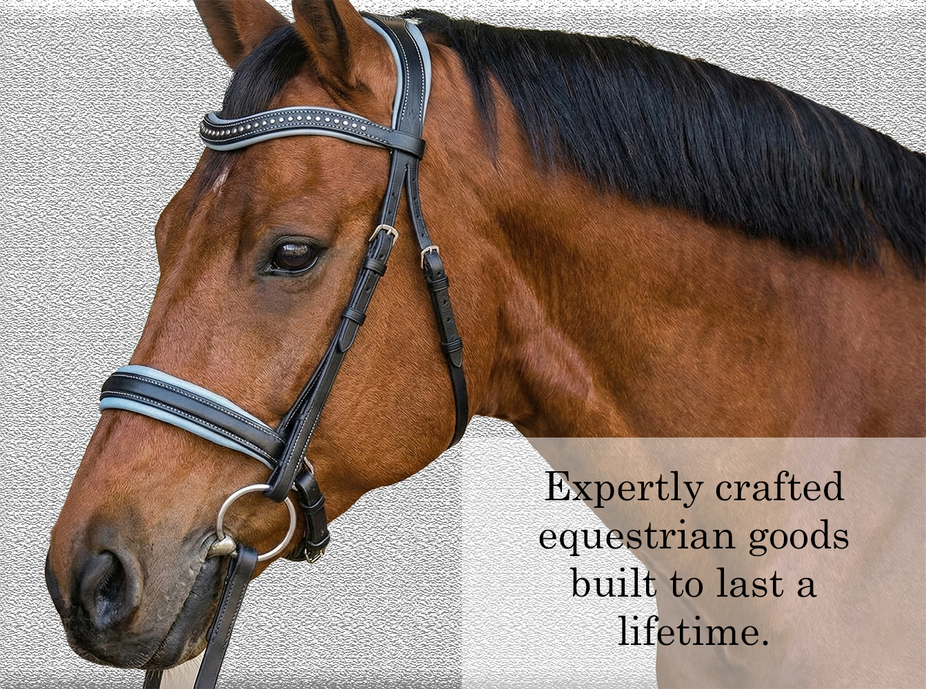 Expertly crafted bridles built to last a lifetime